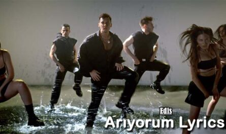 Arıyorum Lyrics - Edis