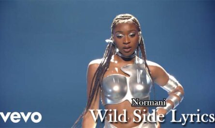 Wild Side Lyrics - Normani