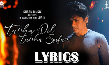 Tanha Dil Tanha Safar Lyrics - Shaan