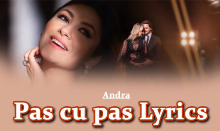 Pas cu pas Lyrics - Andra