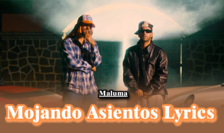 Mojando Asientos Lyrics - Maluma