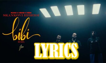 Skankovi hibridi (BIBI REMIX) Lyrics - Nucci, Seksi & Biba