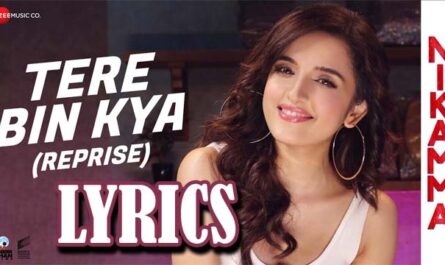 Tere Bin Kya Reprise Lyrics - Shirley Setia Feat. Mame Khan