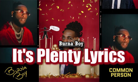 It's Plenty Lyrics - Burna Boy - Audio Version