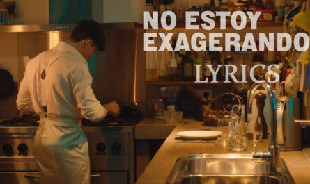 No Estoy Exagerando Lyrics - Robleis