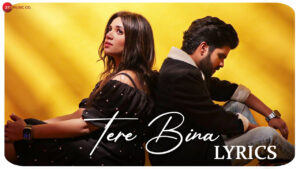 Tere Bina Lyrics - Salman Ali & Muskaan